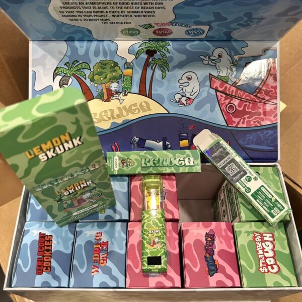 Beluga 3G Disposable