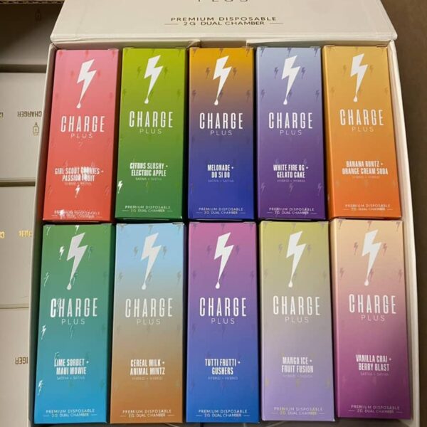 charge plus disposable 2g dual chamber