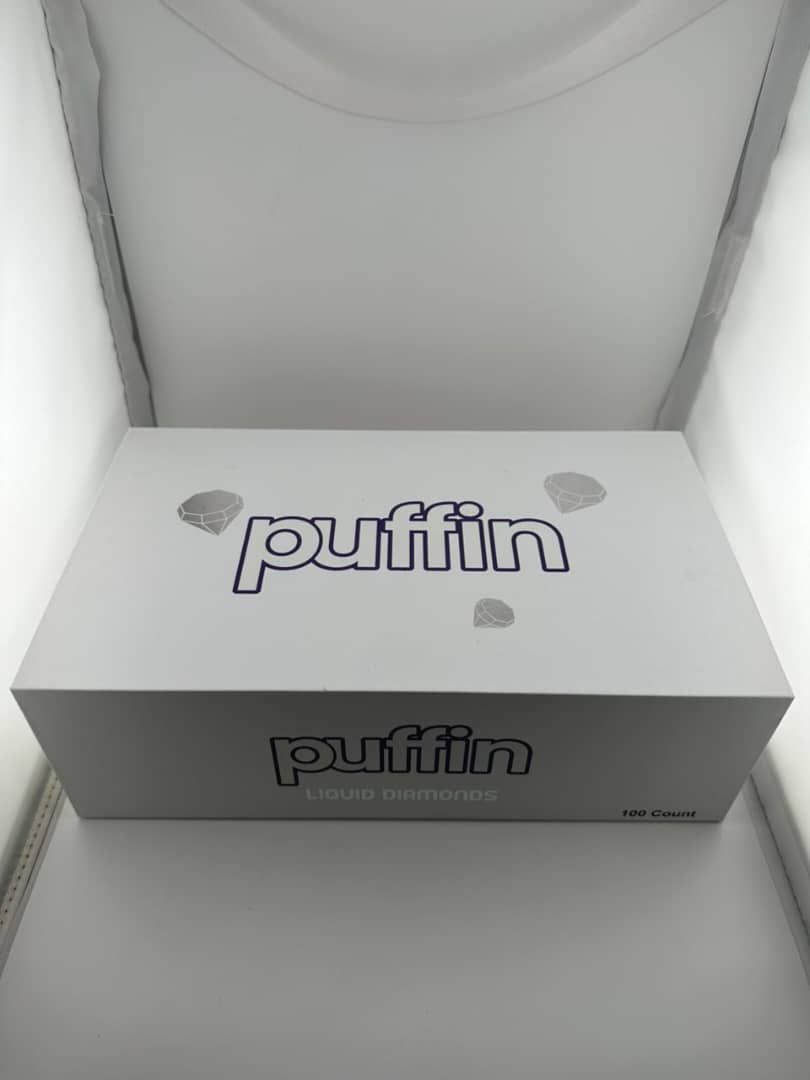 WhatsApp Image 2025-09-29 at 03.05.30_48309466 puffin 2g disposable