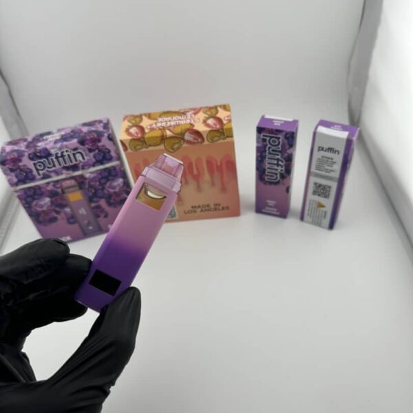 puffin 2g disposable