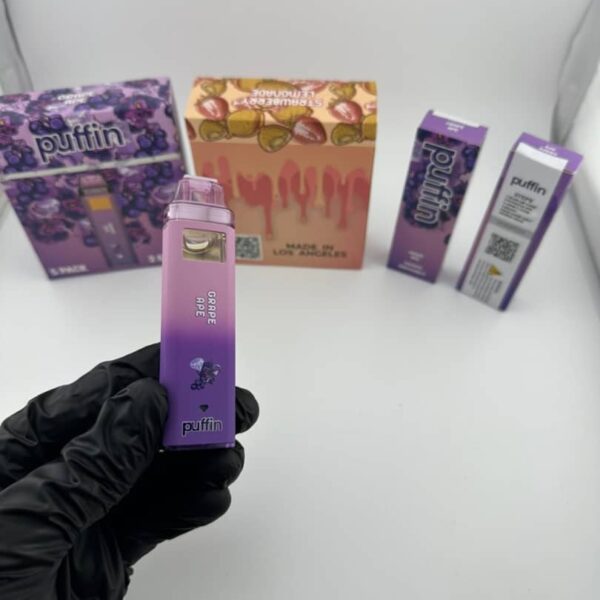 puffin 2g disposable