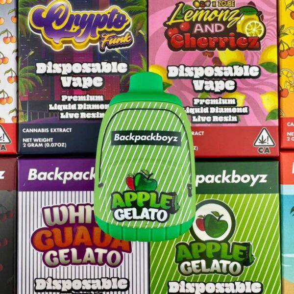 backpackboyz 2g disposable