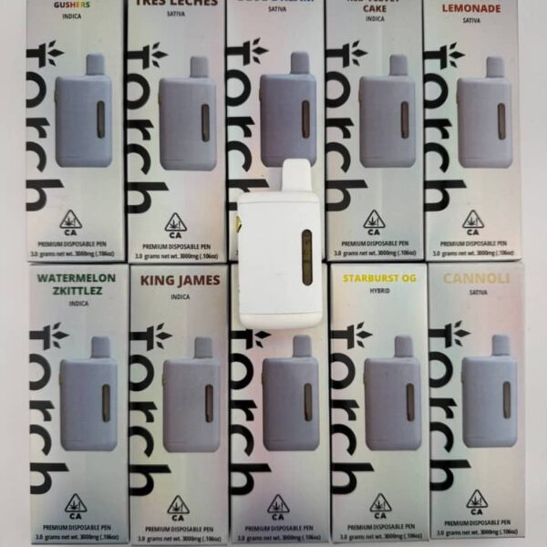 torch 3g disposable