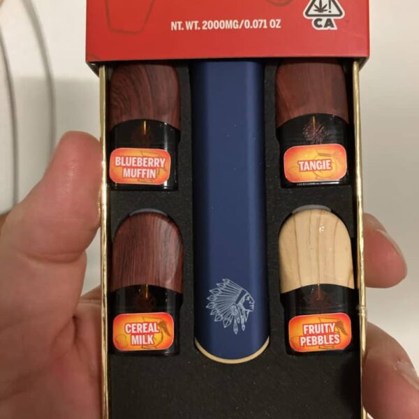 big chief on the go quad pod 2g disposable