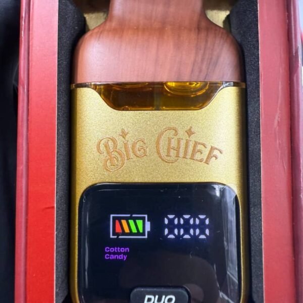 big chief duo v2 2g disposable