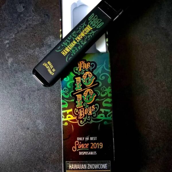 the 10 10 boys 1g disposable