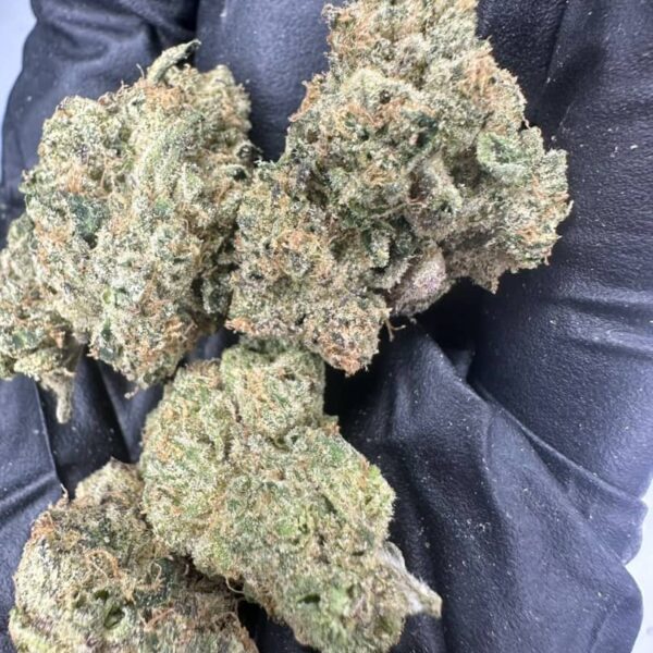 t barz small batch antlers (zkittlez x runtz)