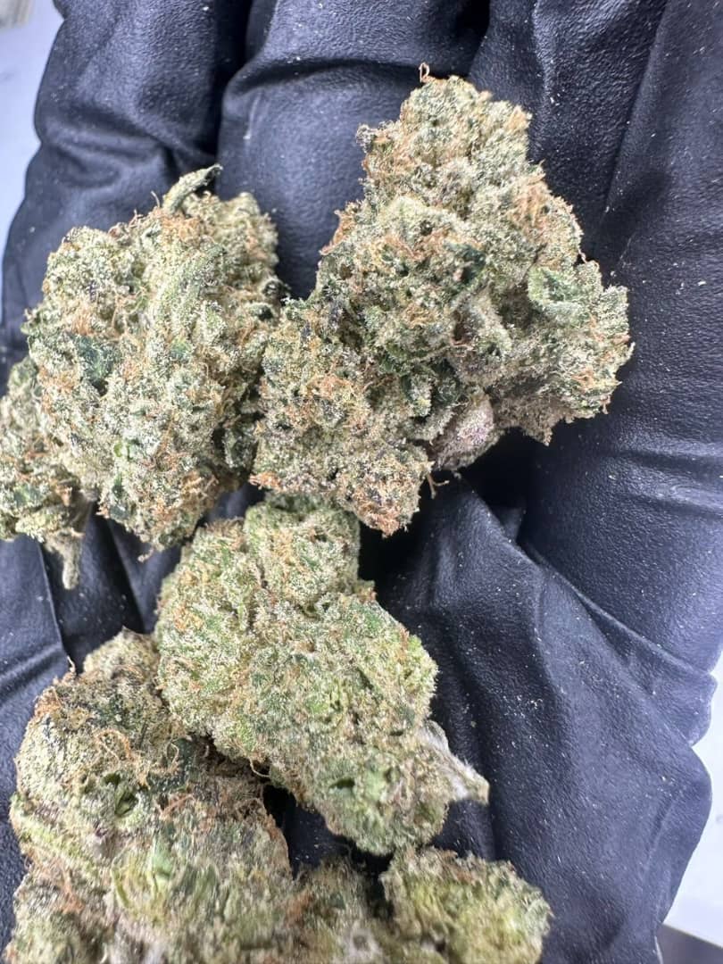 WhatsApp Image 2025-11-19 at 1.44.34 AM t barz small batch antlers (zkittlez x runtz)