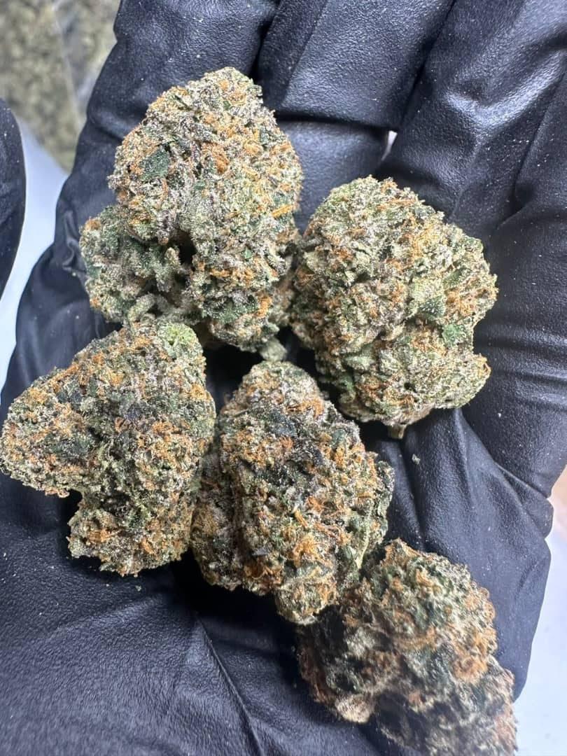 WhatsApp Image 2025-11-19 at 2.11.32 AM (3)