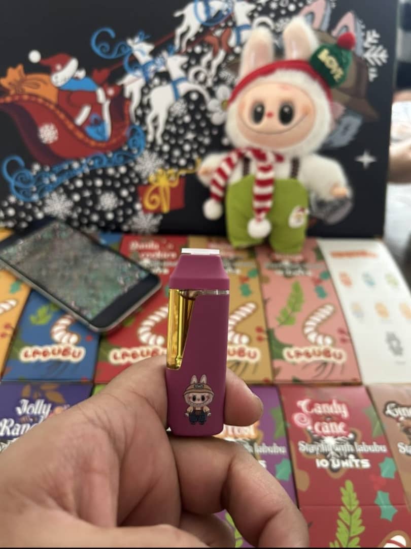 WhatsApp Image 2025-12-04 at 9.22.00 AM (2) labubu 2g disposable Christmas edition