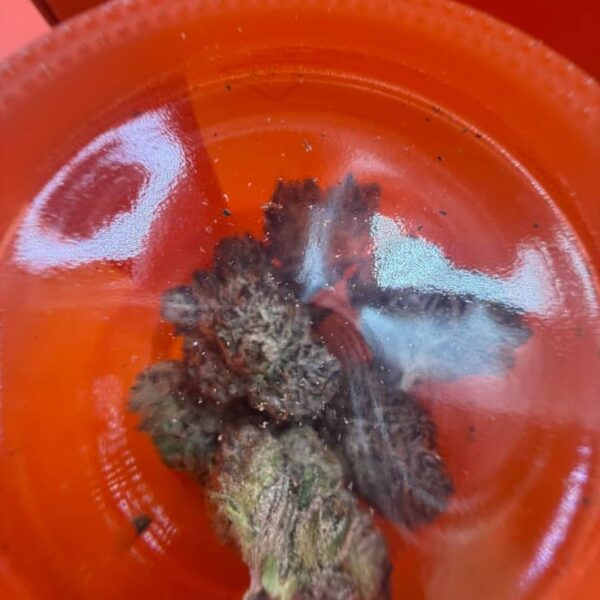 sherbinski premium cannabis flower