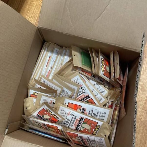 fun guy mushroom chocolate 5 magic mushroom dosage