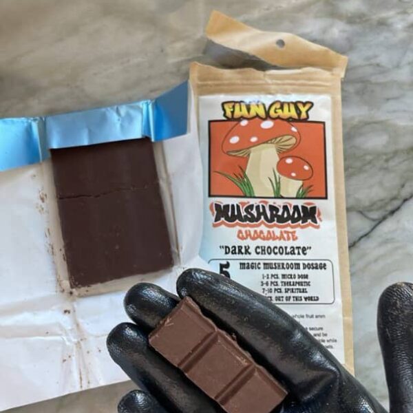 fun guy mushroom chocolate 5 magic mushroom dosage