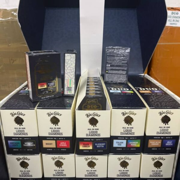 big chief duo v2 batch 2 disposable 2g