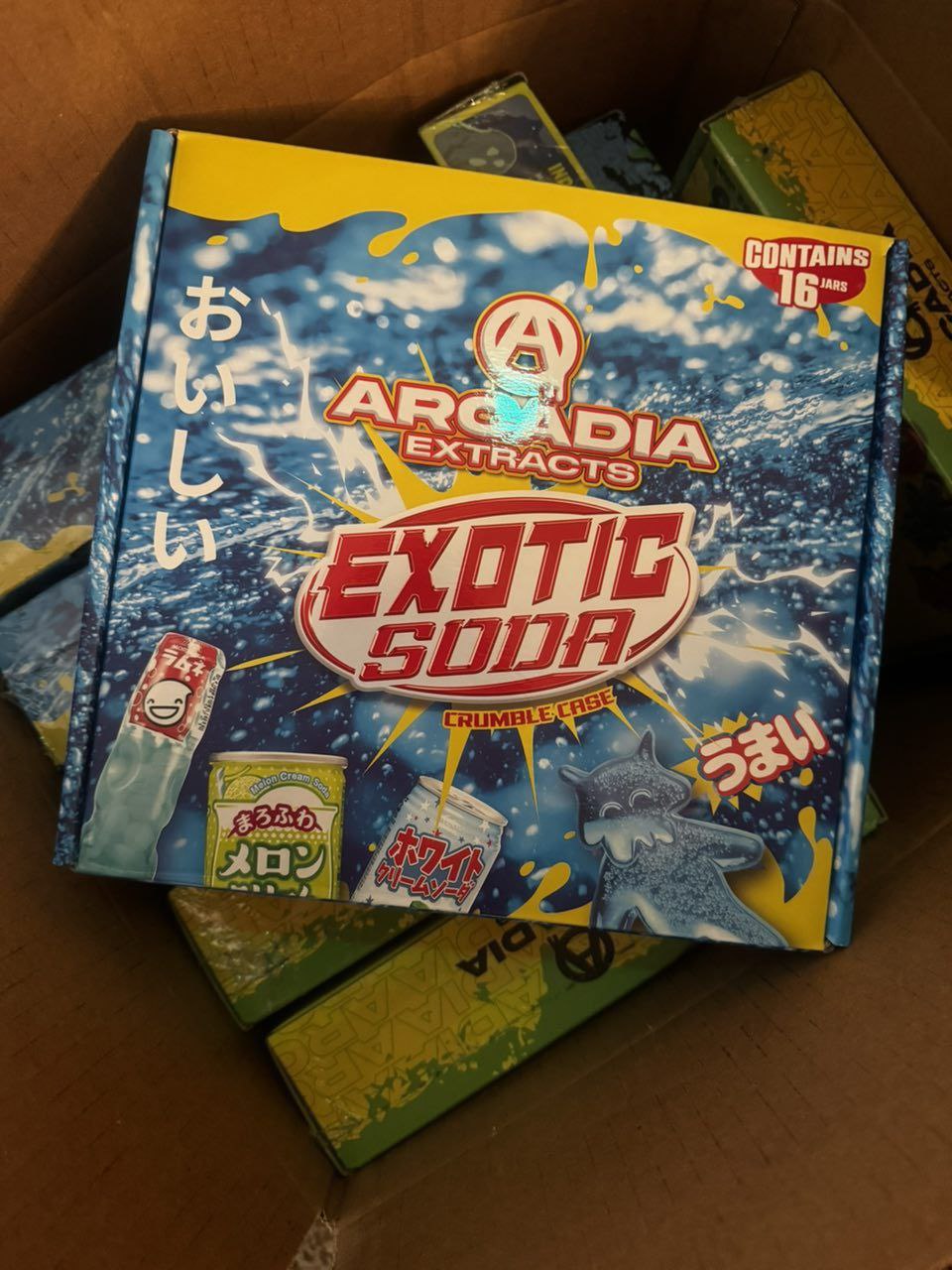 photo_2025-12-12_08-22-56 arcadia extracts exotic soda crumble case 16oz