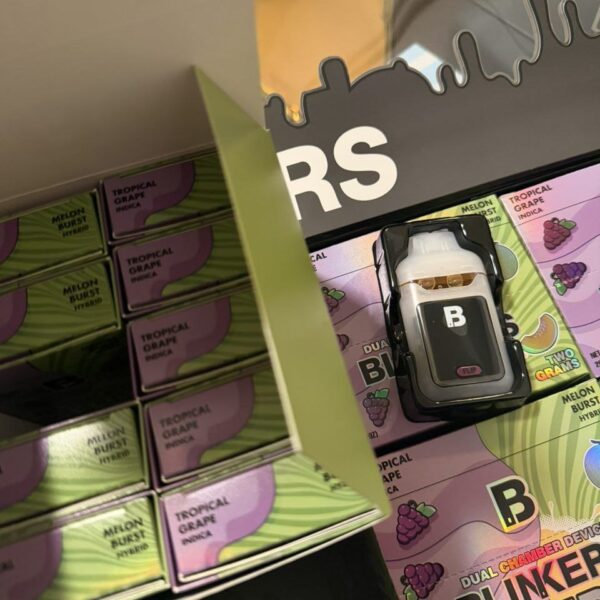 blinkers flip 2g dual chamber device