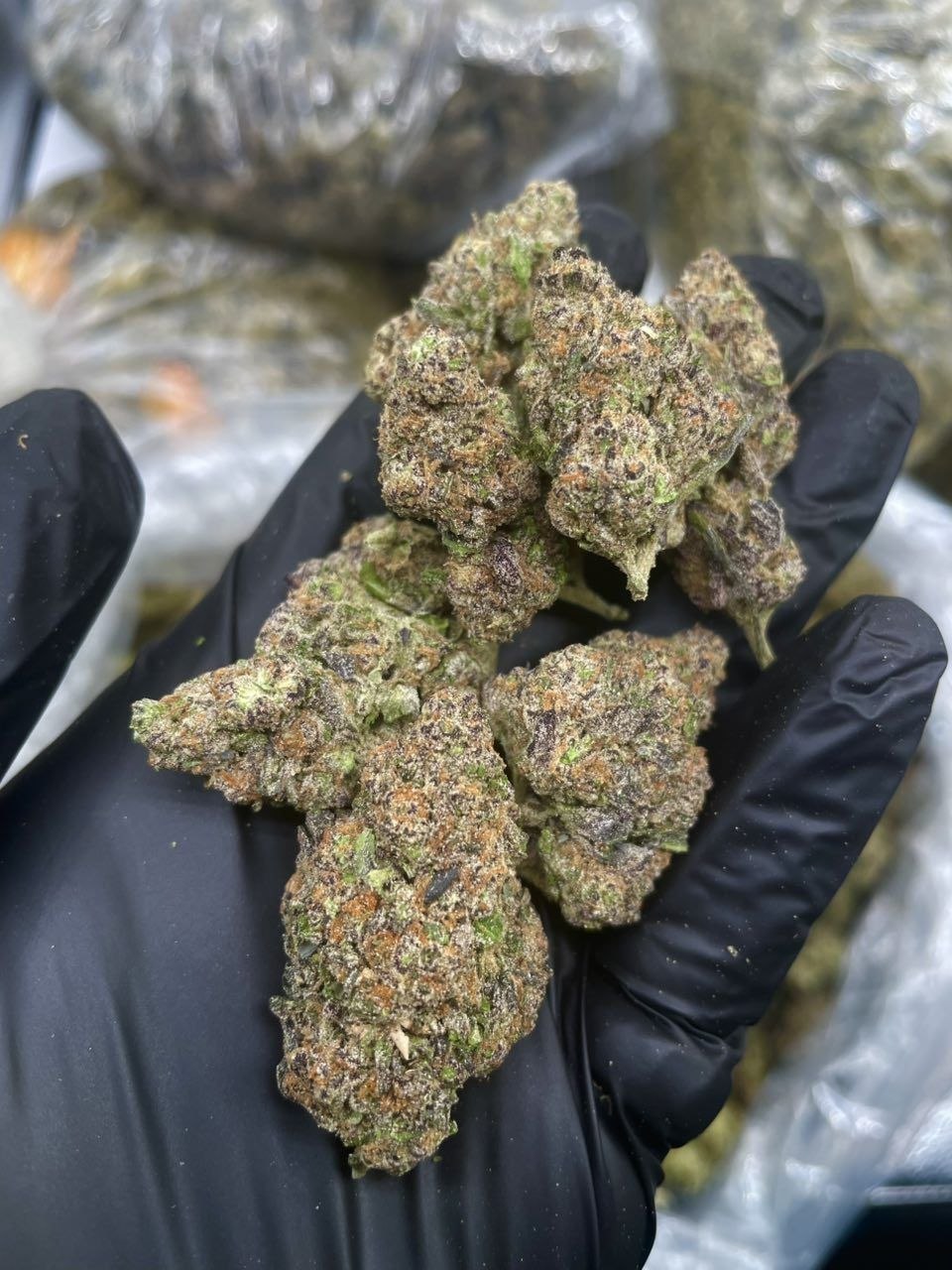 photo_2026-01-24_04-07-59 rainbow belts flower strain