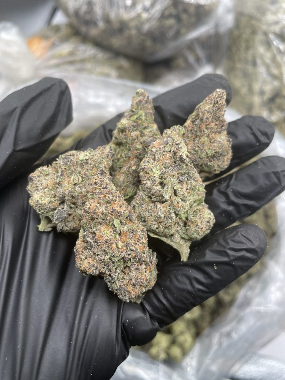 photo_2026-01-24_04-08-02 rainbow belts flower strain