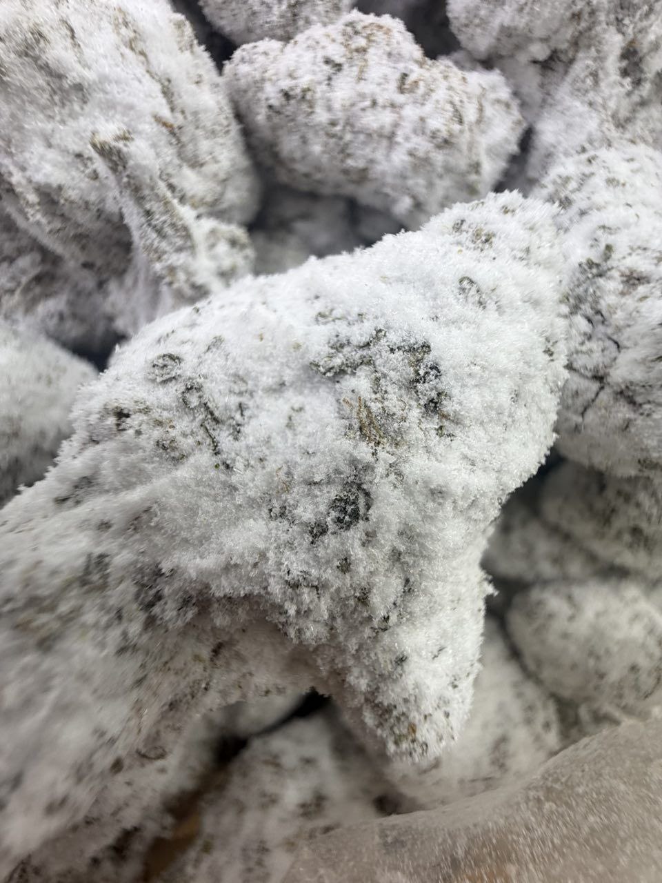 photo_2026-01-24_04-41-58 loose ice caps weed strain