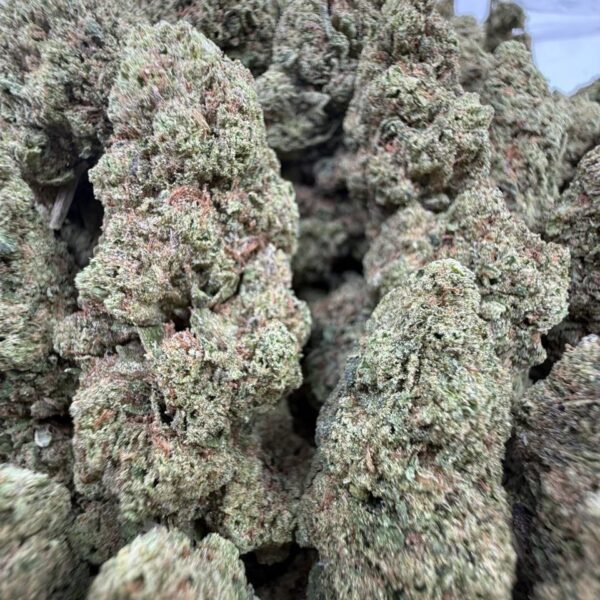 lemon meringue pie weed strain