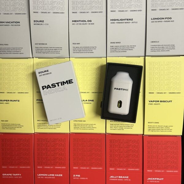 pastime 2g disposable