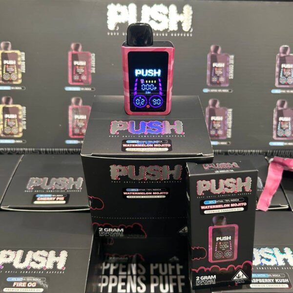 push camo disposable 2g with screen