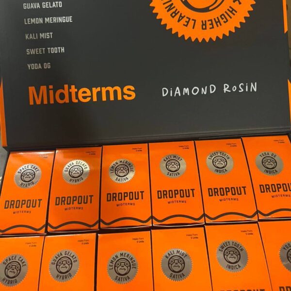 dropout academy 3g disposable midterms