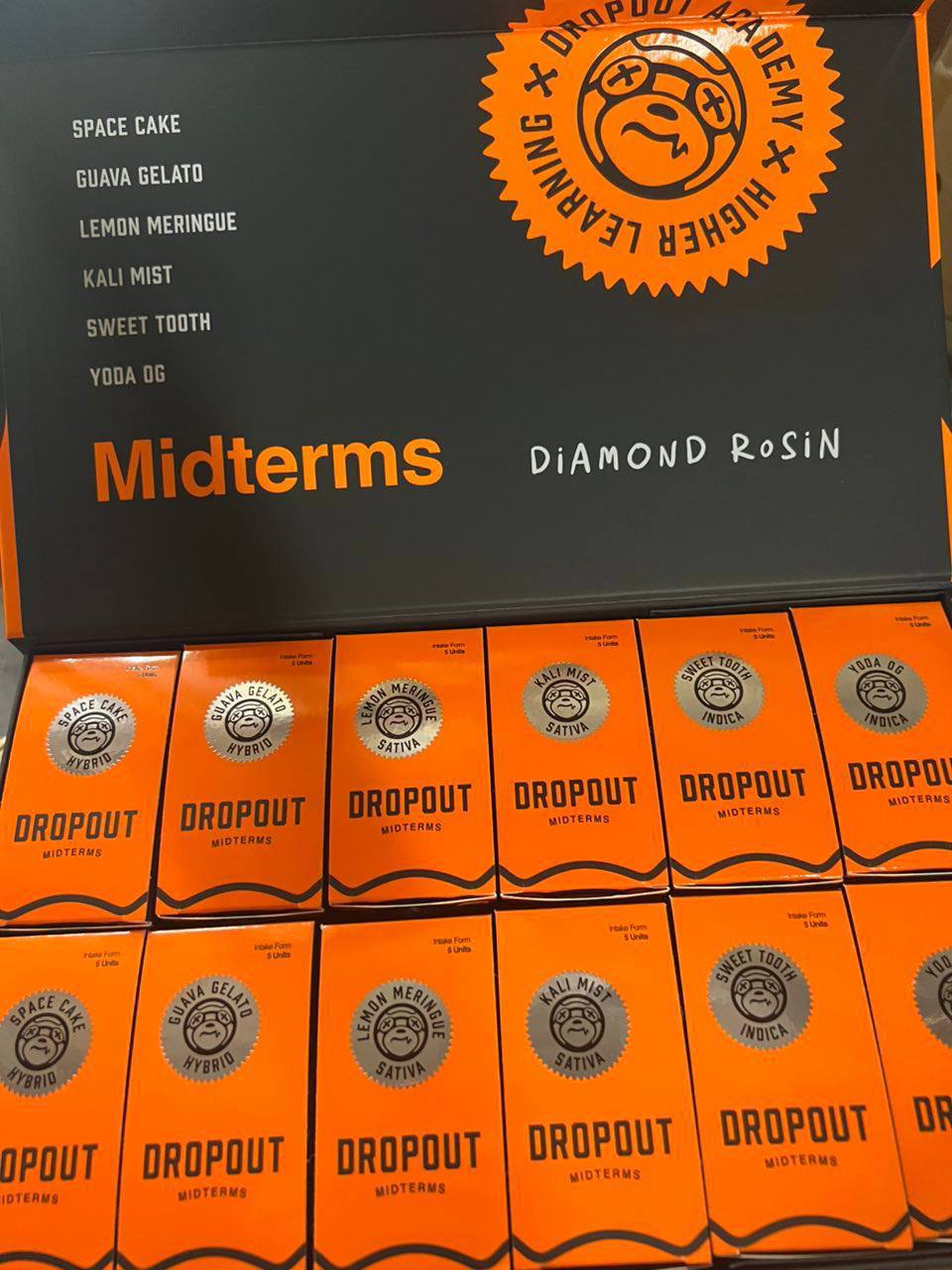 photo_2026-04-02_12-04-44 dropout academy 3g disposable midterms