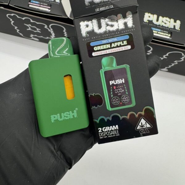 push 2 gram disposable with screen
