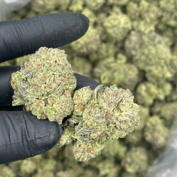 neapolitan rainbowz flower