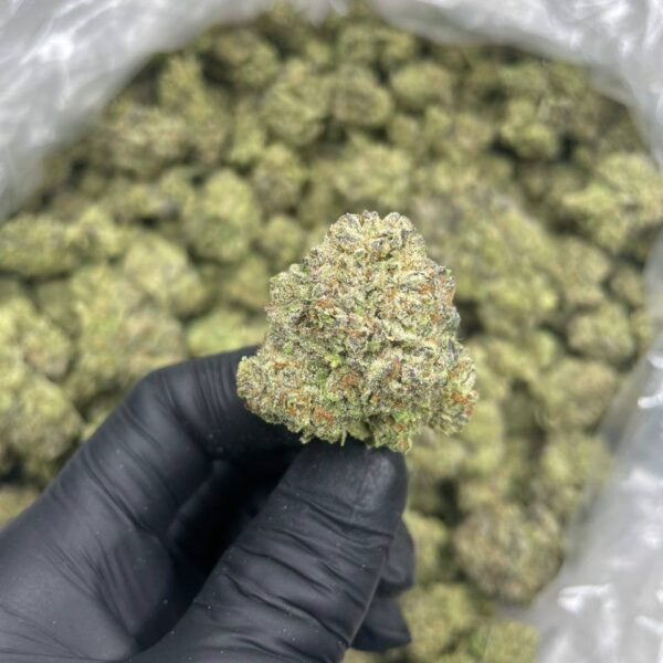 neapolitan rainbowz flower