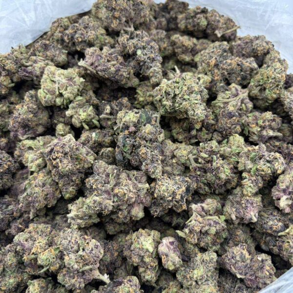 ff x grape pop rocks indoor flowers