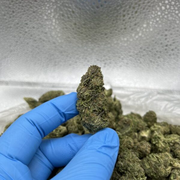gumble runts thca weed flower strain