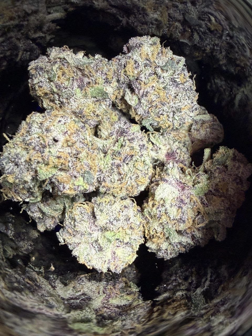 photo_2026-05-17_13-57-14 catnip zoap x fun dip by green gold