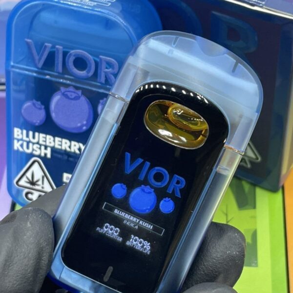 vior 2g disposable with screen