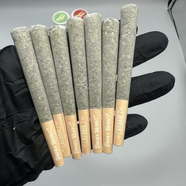 papa's herb 1g pre-rolls