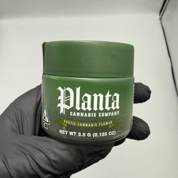 planta cannabis company flower 3.5g