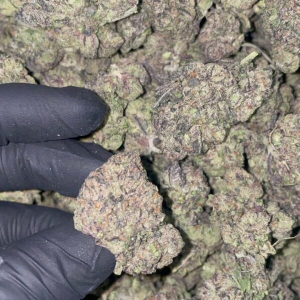 blueface runtz strain