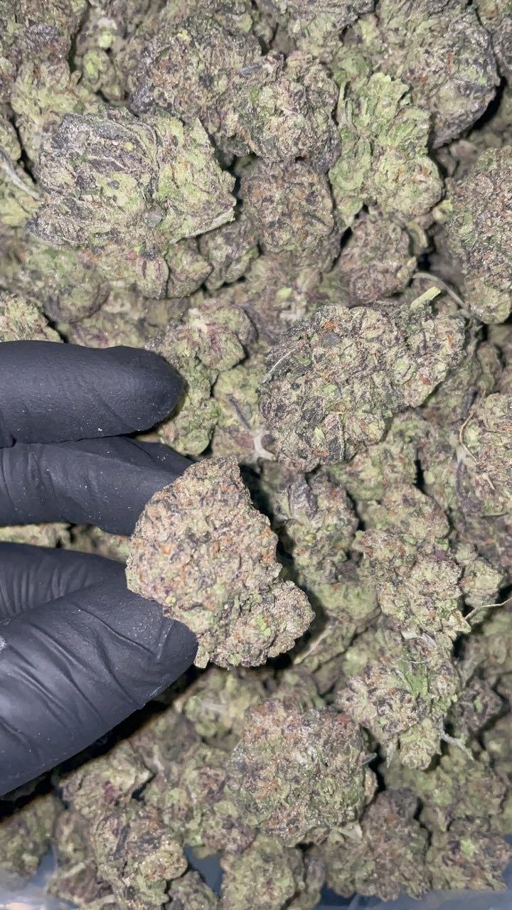 photo_2026-05-28_03-10-54 blueface runtz strain