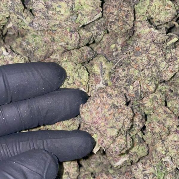 blueface runtz strain