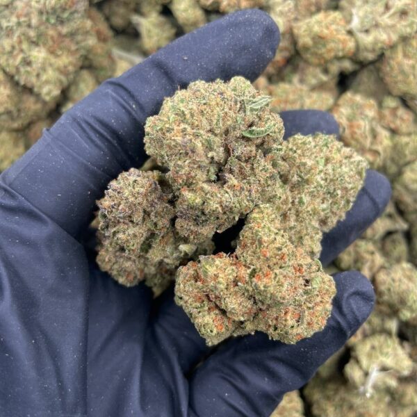 jungle cookies strain
