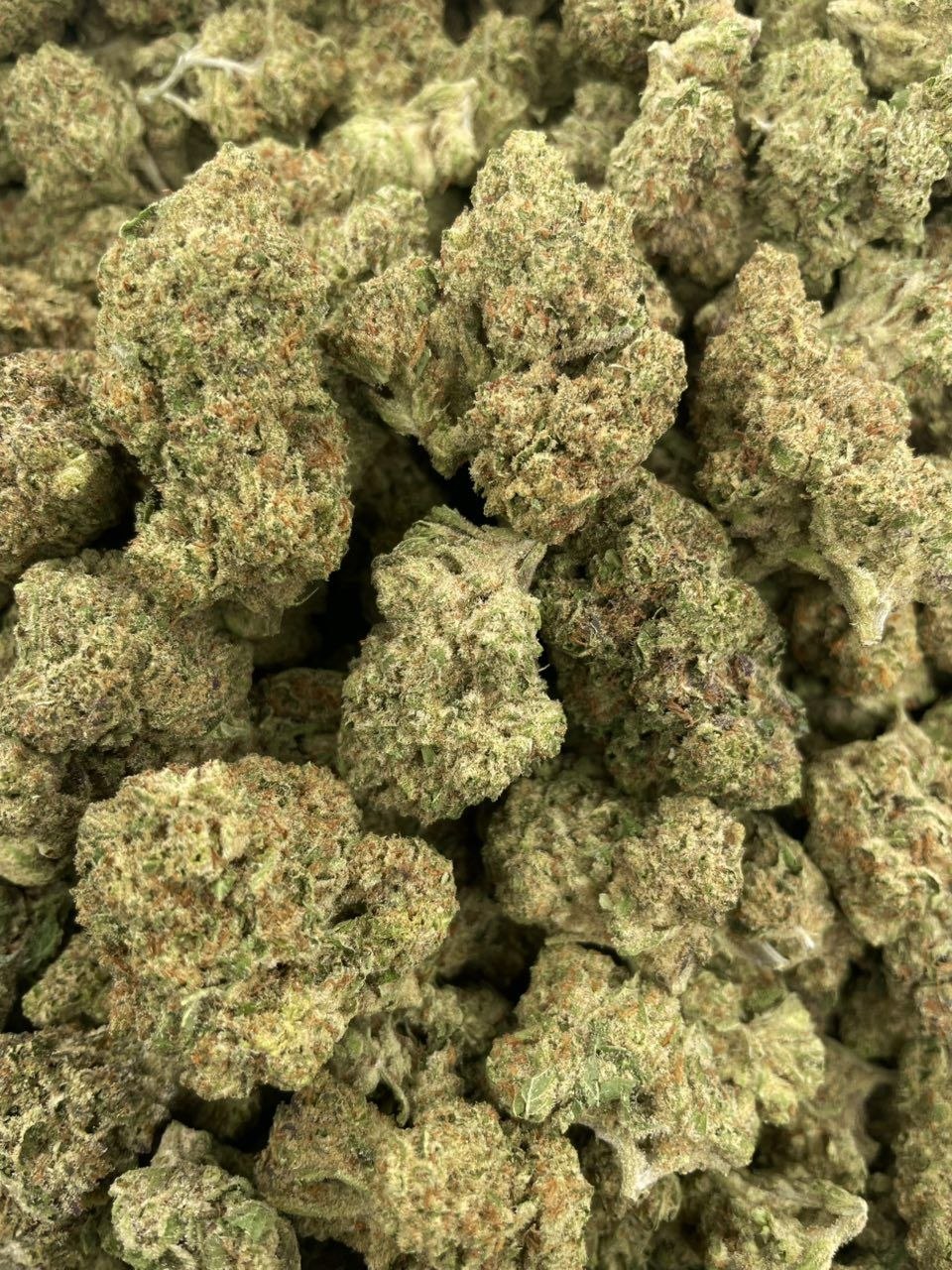 photo_2026-05-28_03-38-25 jungle cookies strain