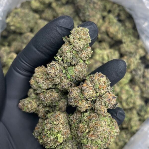 blue cherriez ml strain