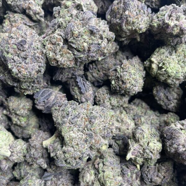 black mamba gelato ml strain