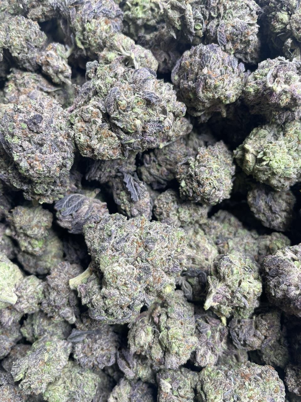 photo_2026-05-28_04-57-45 black mamba gelato ml strain