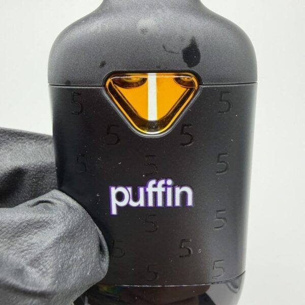 puffin 5 year anniversary 2g disposable