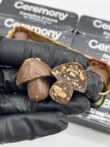 ceremony ceremonial grade mushroom chocolates